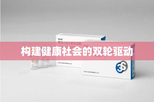 岳阳构建健康社会的双轮驱动
