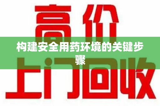 岳阳构建安全用药环境的关键步骤