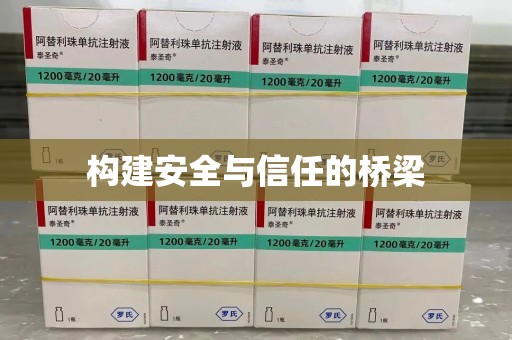 岳阳构建安全与信任的桥梁