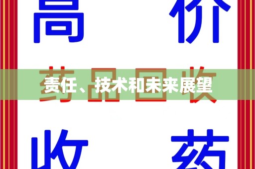 岳阳责任、技术和未来展望