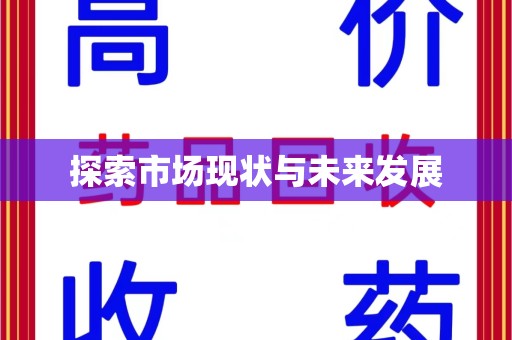 岳阳探索市场现状与未来发展