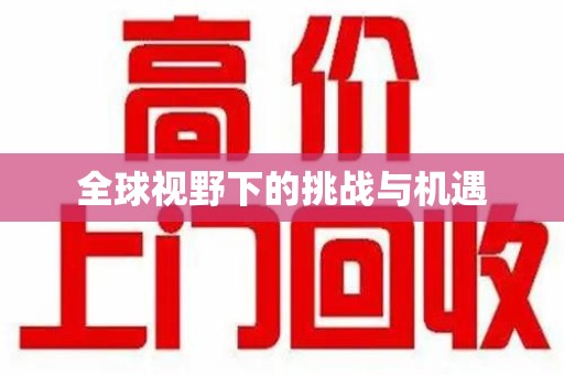 岳阳全球视野下的挑战与机遇