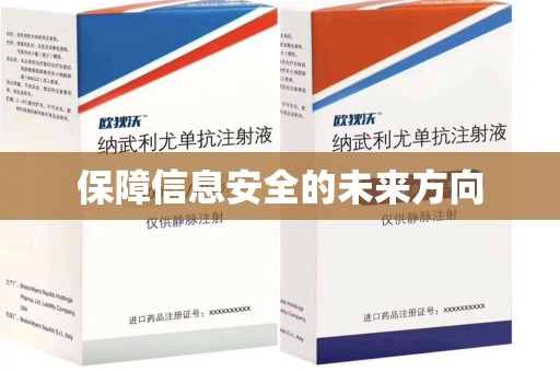 岳阳保障信息安全的未来方向