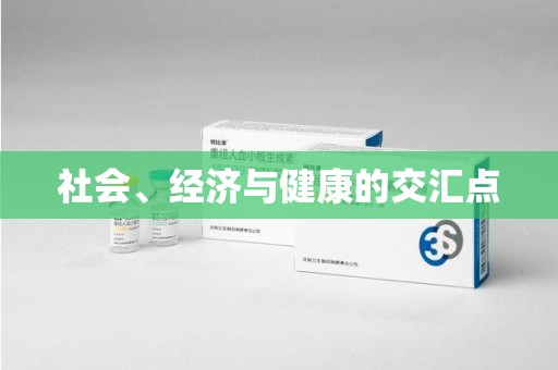 岳阳社会、经济与健康的交汇点