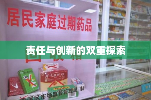 岳阳责任与创新的双重探索