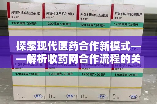 岳阳探索现代医药合作新模式——解析收药网合作流程的关键要素