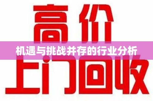 岳阳机遇与挑战并存的行业分析