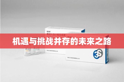 岳阳机遇与挑战并存的未来之路