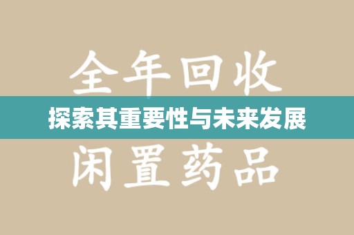 岳阳探索其重要性与未来发展