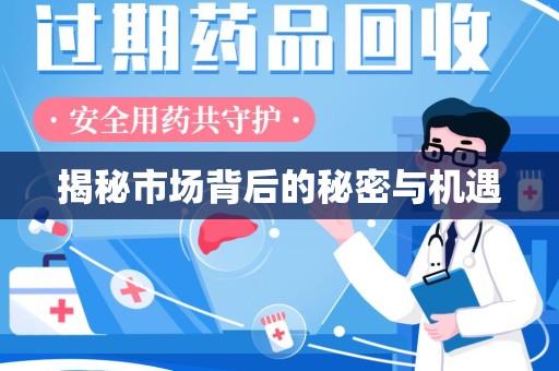岳阳揭秘市场背后的秘密与机遇