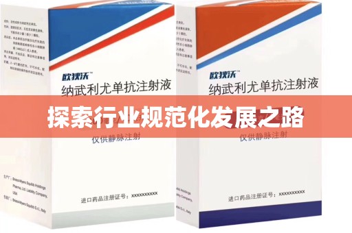 岳阳探索行业规范化发展之路