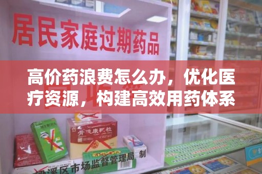 岳阳高价药浪费怎么办，优化医疗资源，构建高效用药体系