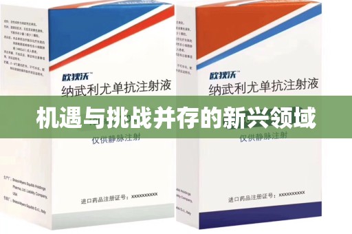 岳阳机遇与挑战并存的新兴领域