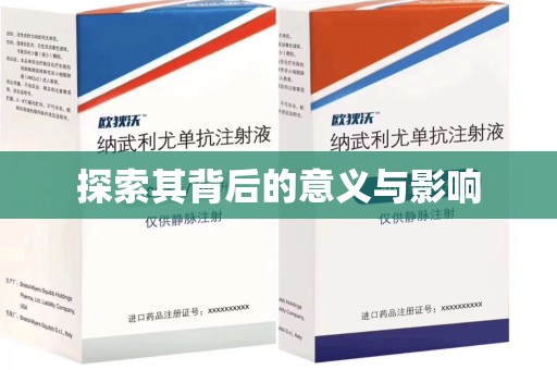 岳阳探索其背后的意义与影响