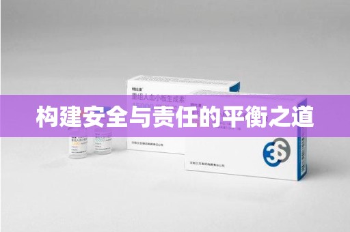岳阳构建安全与责任的平衡之道