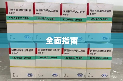 岳阳全面指南