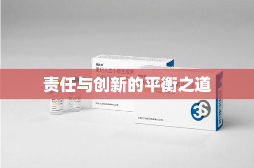 岳阳责任与创新的平衡之道