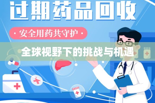 岳阳全球视野下的挑战与机遇
