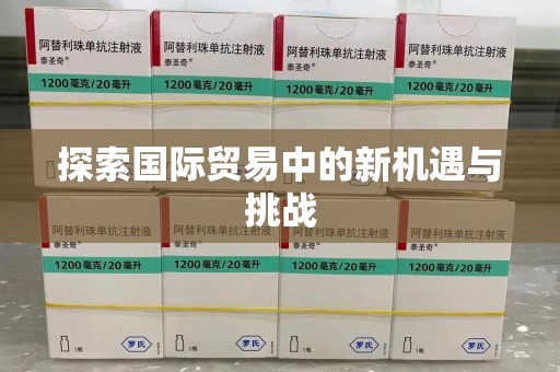 岳阳探索国际贸易中的新机遇与挑战