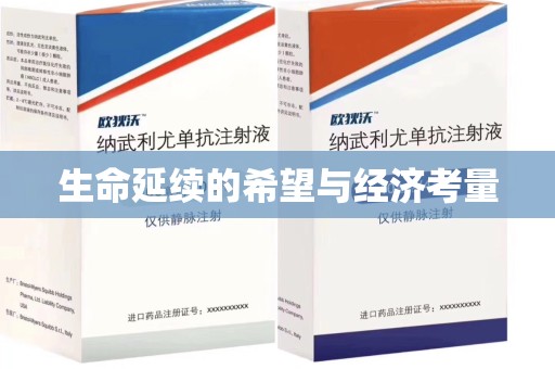 岳阳生命延续的希望与经济考量